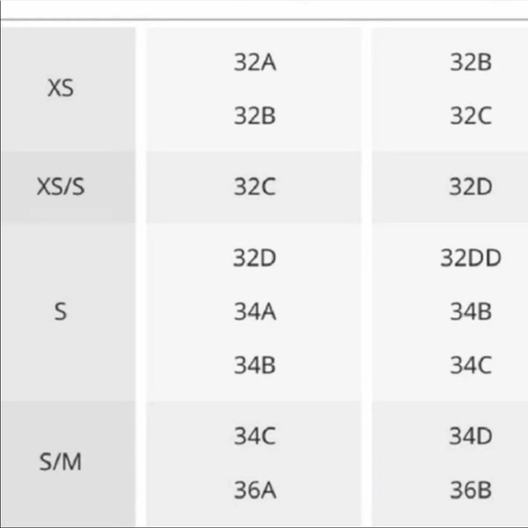 NWT Free People Galloon Halter Bralette - Picture 5 of 8